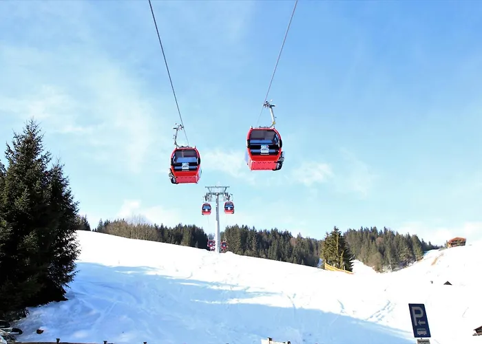 Wimmers Hundsegghof Wild002 * Niederau