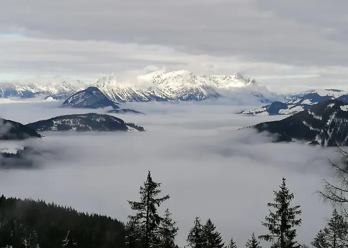 Wimmers Hundsegghof Wild002 شقة *